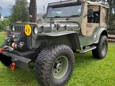 Willys Jeep Willys Raridade 1964/1964 CAMINHÕES & CAMIONETAS PASSO FUNDO / Carros no Vale