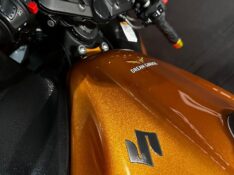 SUZUKI MOTOS GSX 1300 R HAYABUSA /2011 EXCLUSIVO VEÍCULOS SANTA CRUZ DO SUL / Carros no Vale