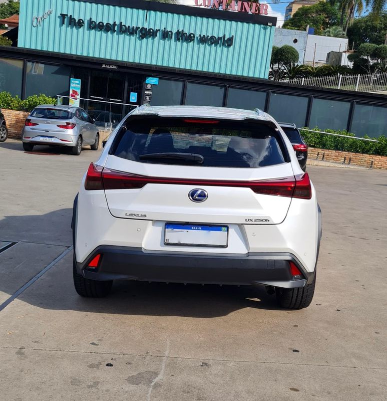 LEXUS UX 250H 2.0 VVT-I HYBRID LUXURY CVT 2019/2019 FÁBIO BERNARDES PORTO ALEGRE / Carros no Vale