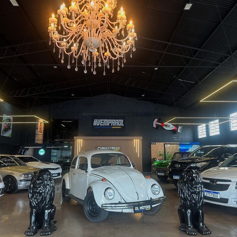 Volkswagen Fusca 1600 1976/1976 DL MOTORS LAJEADO / Carros no Vale