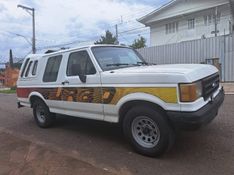 Ford F-1000 3.9 WALK CD 8V DIESEL 2P MANUAL 1995/1995 CAMINHÕES & CAMIONETAS PASSO FUNDO / Carros no Vale