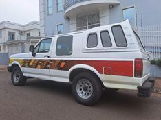 Ford F-1000 3.9 WALK CD 8V DIESEL 2P MANUAL 1995/1995 CAMINHÕES & CAMIONETAS PASSO FUNDO / Carros no Vale