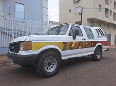 Ford F-1000 3.9 WALK CD 8V DIESEL 2P MANUAL 1995/1995 CAMINHÕES & CAMIONETAS PASSO FUNDO / Carros no Vale