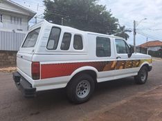 Ford F-1000 3.9 WALK CD 8V DIESEL 2P MANUAL 1995/1995 CAMINHÕES & CAMIONETAS PASSO FUNDO / Carros no Vale