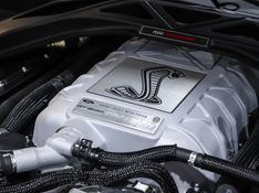 Ford MUSTANG 5.2 V8 SUPERCHARGER GASOLINA SHELBY GT 500 DCT 2021/2021 VIA BELLA VEÍCULOS ESPECIAIS CAXIAS DO SUL / Carros no Vale
