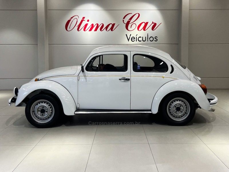 VOLKSWAGEN FUSCA 1.6 8V 1995/1996 ÓTIMA CAR FLORES DA CUNHA / Carros no Vale