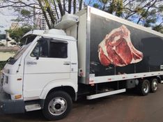 Volkswagen 8-150E Delivery 4X2 8-150 Worker Câmara Frigorífico 2002/2002 CAMINHÕES & CAMIONETAS PASSO FUNDO / Carros no Vale