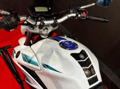 YAMAHA FAZER 250IE LIMITED EDITION /2016 EXCLUSIVO VEÍCULOS SANTA CRUZ DO SUL / Carros no Vale