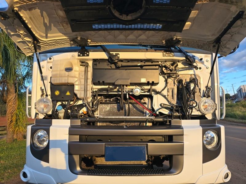 Volkswagen 17-230 E Constellation 2p Chassi 2019/2020 CAMINHÕES & CAMIONETAS PASSO FUNDO / Carros no Vale