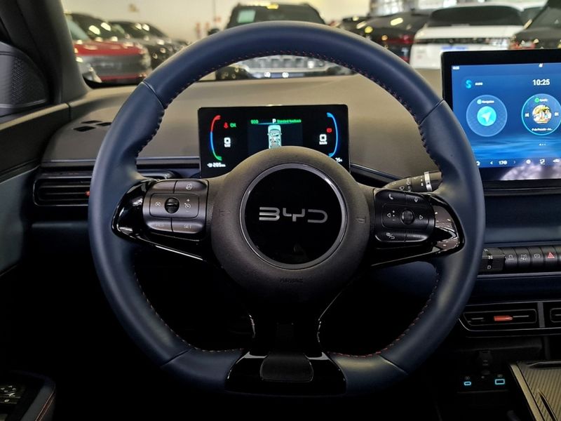 BYD DOLPHIN MINI 38 KW ELÉTRICO 2024/2025 CARRO DEZ NOVO HAMBURGO / Carros no Vale