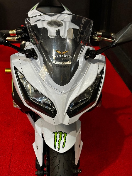 KAWASAKI NINJA 300 /2015 EXCLUSIVO VEÍCULOS SANTA CRUZ DO SUL / Carros no Vale