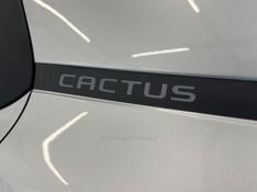 CITROËN C4 CACTUS 1.6 VTI FEEL 2019/2019 ÓTIMA CAR FLORES DA CUNHA / Carros no Vale
