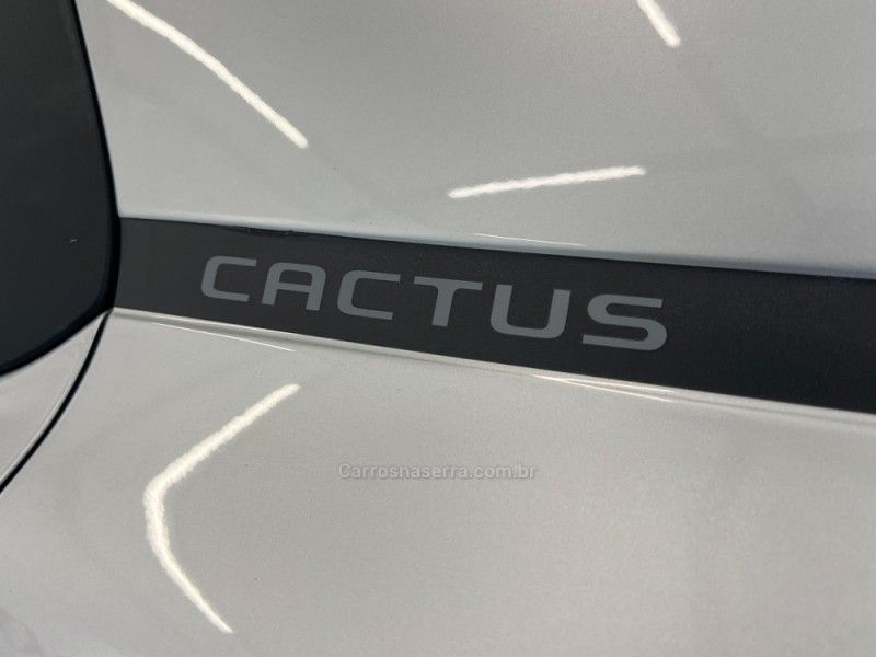CITROËN C4 CACTUS 1.6 VTI FEEL 2019/2019 ÓTIMA CAR FLORES DA CUNHA / Carros no Vale