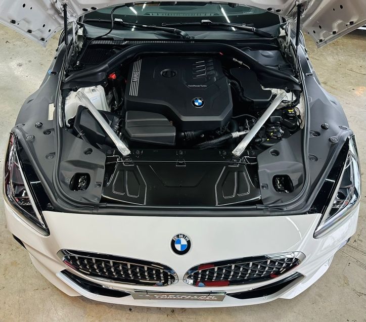 BMW Z4 2.0 TWINPOWER GASOLINA SDRIVE30i M SPORT STEPTRONIC 2019/2020 CASTELLAN E TOMAZONI MOTORS CAXIAS DO SUL / Carros no Vale