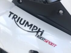 TRIUMPH TIGER 1050 2015/2015 JASER MOTOS LAJEADO / Carros no Vale