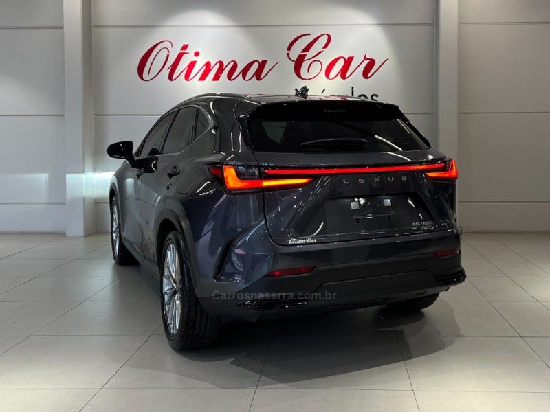 LEXUS NX350 H 2.5 LUXURY 4X4 16V HÍBRIDO 2025/2026 ÓTIMA CAR FLORES DA CUNHA / Carros no Vale