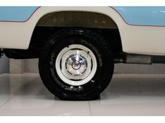 DODGE D100 CLUB CAB 1974/1974 PASTORE CAR COLLECTION BENTO GONÇALVES / Carros no Vale