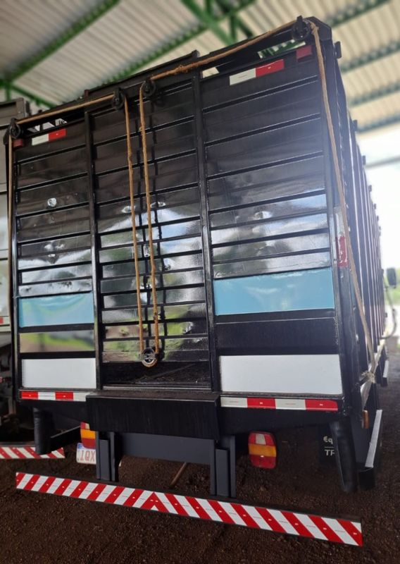 Ford Cargo 815 E Turbo Boiadeiro 2010/2010 CAMINHÕES & CAMIONETAS PASSO FUNDO / Carros no Vale Ford Cargo 815 E Turbo Boiadeiro 2010/2010 CAMINHÕES & CAMIONETAS PASSO FUNDO / Carros no Vale