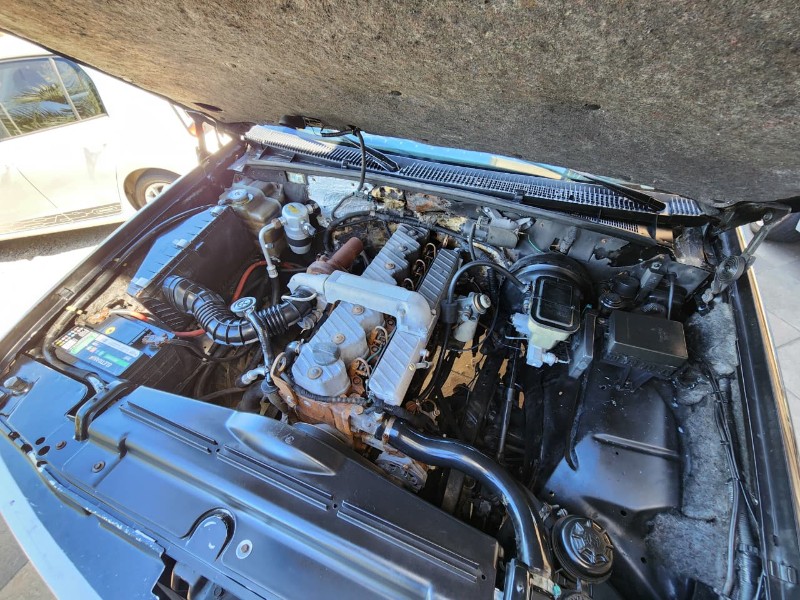 CHEVROLET SILVERADO DLX 4.2 TB-IC 1998/1998 TS VEÍCULOS ANTA GORDA / Carros no Vale