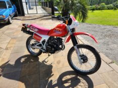 HONDA XLX 250R VERMELHA 1989/1989 TS VEÍCULOS ANTA GORDA / Carros no Vale