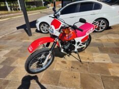 HONDA XLX 250R VERMELHA 1989/1989 TS VEÍCULOS ANTA GORDA / Carros no Vale