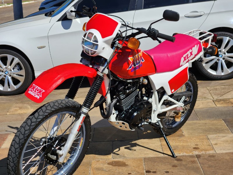 HONDA XLX 250R VERMELHA 1989/1989 TS VEÍCULOS ANTA GORDA / Carros no Vale