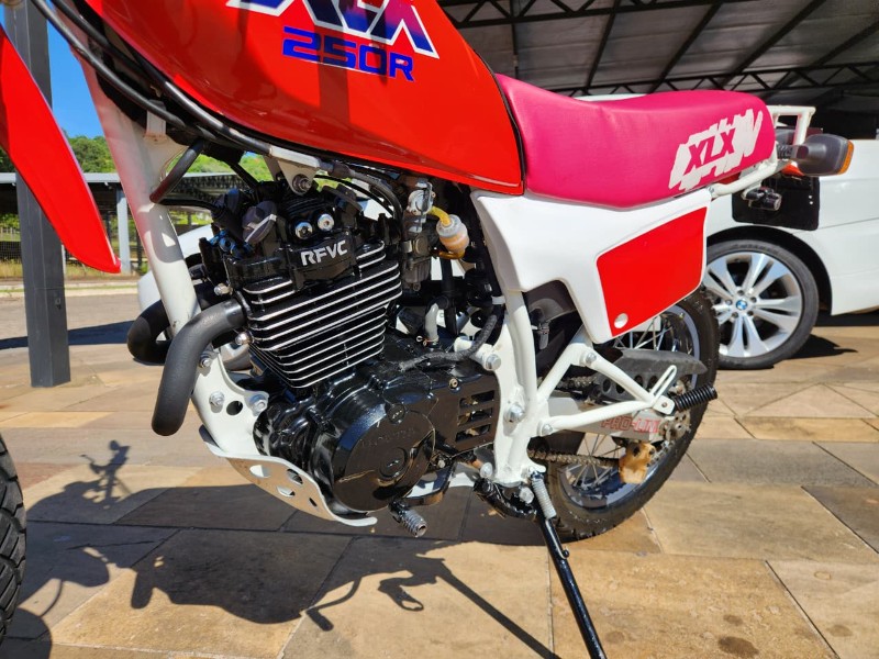 HONDA XLX 250R VERMELHA 1989/1989 TS VEÍCULOS ANTA GORDA / Carros no Vale