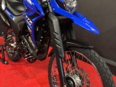 YAMAHA XTZ250 LANDER /2024 EXCLUSIVO VEÍCULOS SANTA CRUZ DO SUL / Carros no Vale