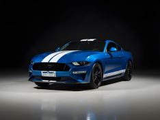 Ford Mustang Black Shadow 5.0 V8 2020/2020 CONCEPT MOTORS PASSO FUNDO / Carros no Vale