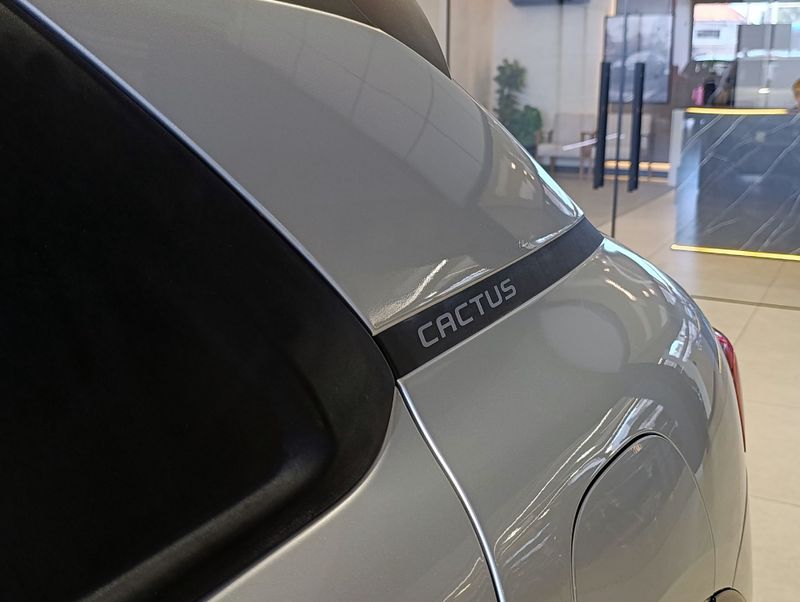 Citroen C4 Cactus 1.6 Feel 2019/2020 SIM VEÍCULOS PORTO ALEGRE / Carros no Vale