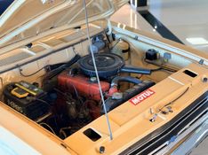 CHEVROLET OPALA 2.5 ESPECIAL 8V 1973/1973 GRIFFCAR MULTIMARCAS DOIS IRMÃOS / Carros no Vale