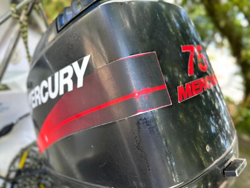 Fibrafort Focker 270 2001/2001 CARRO AUTOMARCAS CAXIAS DO SUL / Carros no Vale