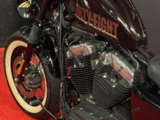 HARLEY DAVIDSON FORTY-EIGHT /2014 EXCLUSIVO VEÍCULOS SANTA CRUZ DO SUL / Carros no Vale