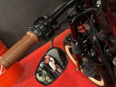 HARLEY DAVIDSON FORTY-EIGHT /2014 EXCLUSIVO VEÍCULOS SANTA CRUZ DO SUL / Carros no Vale