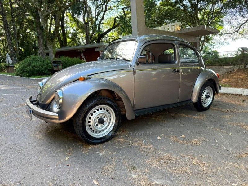 VOLKSWAGEN FUSCA 1.6 8V 1995/1996 KASPER VEÍCULOS DOIS IRMÃOS / Carros no Vale