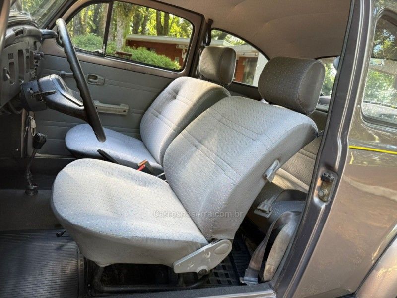 VOLKSWAGEN FUSCA 1.6 8V 1995/1996 KASPER VEÍCULOS DOIS IRMÃOS / Carros no Vale
