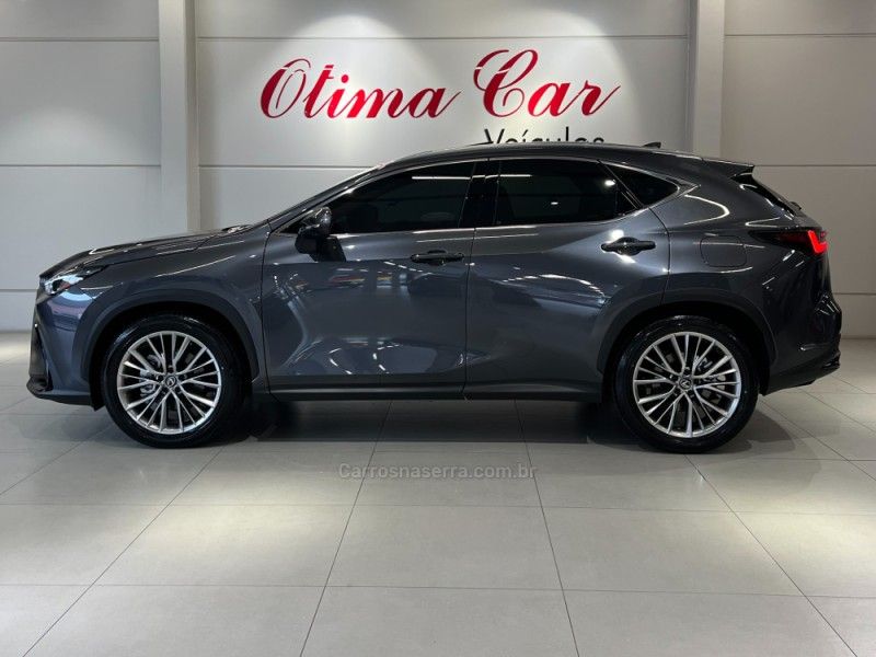 LEXUS NX350 H 2.5 LUXURY 4X4 16V HÍBRIDO 2025/2026 ÓTIMA CAR FLORES DA CUNHA / Carros no Vale