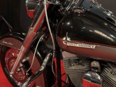 HARLEY DAVIDSON HERITAGE SOFTAIL CLASSIC /2008 EXCLUSIVO VEÍCULOS SANTA CRUZ DO SUL / Carros no Vale