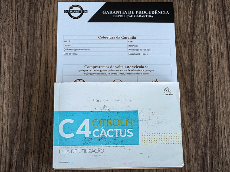 CITROEN C4 GLX 1.6 16V FLEX 2019/2020 DUARTE VEÍCULOS PORTO ALEGRE / Carros no Vale