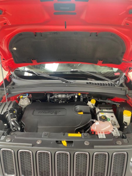 JEEP RENEGADE 2.0 16V TURBO DIESEL TRAILHAWK 4P 4X4 AUTOMÁTICO 2015/2016 LAVENDA VEÍCULOS ARROIO DO MEIO / Carros no Vale