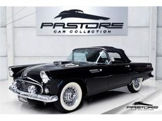FORD THUNDERBIRD CONVERSIVEL 1955/1955 PASTORE CAR COLLECTION BENTO GONÇALVES / Carros no Vale