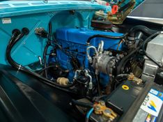 CHEVROLET C 10 4.1 CS 8V 1977/1977 PASTORE CAR COLLECTION BENTO GONÇALVES / Carros no Vale