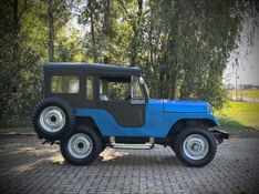 Ford JEEP WILLYS 1978 NEUMANN VEÍCULOS ARROIO DO MEIO / Carros no Vale