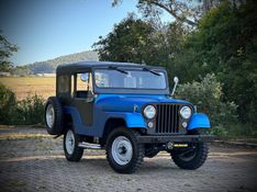 Ford JEEP WILLYS 1978 NEUMANN VEÍCULOS ARROIO DO MEIO / Carros no Vale