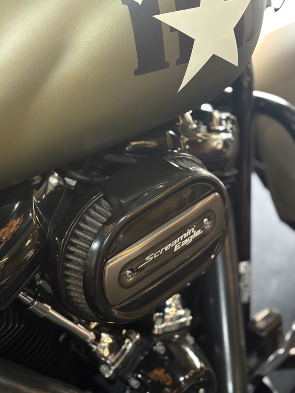Harley-davidson Softail Slim Flsl 2018/2018 DL MOTORS LAJEADO / Carros no Vale