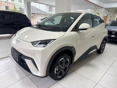 BYD DOLPHIN MINI ELÉTRICO 2026/2027 ANDRIGO VEÍCULOS CAXIAS DO SUL / Carros no Vale
