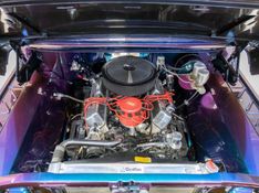 FORD F-100 3.6 SUPER 1971/1971 PASTORE CAR COLLECTION BENTO GONÇALVES / Carros no Vale