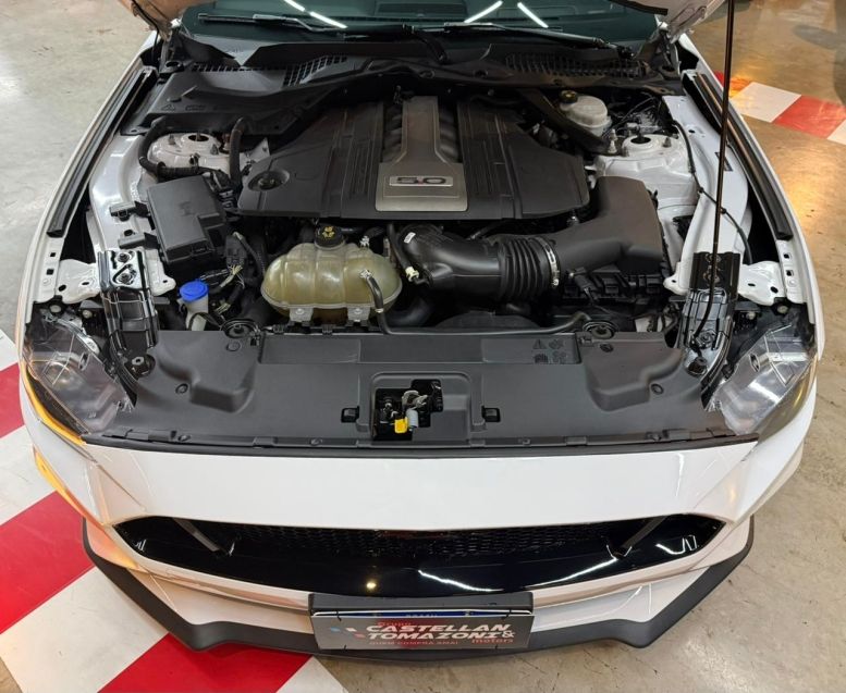 Ford MUSTANG 5.0 V8 TI-VCT GASOLINA BLACK SHADOW SELECTSHIFT 2019/2020 CASTELLAN E TOMAZONI MOTORS CAXIAS DO SUL / Carros no Vale Ford MUSTANG 5.0 V8 TI-VCT GASOLINA BLACK SHADOW SELECTSHIFT 2019/2020 CASTELLAN E TOMAZONI MOTORS CAXIAS DO SUL / Carros no Vale