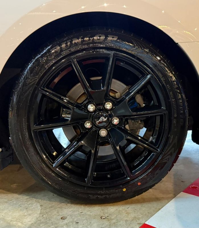 Ford MUSTANG 5.0 V8 TI-VCT GASOLINA BLACK SHADOW SELECTSHIFT 2019/2020 CASTELLAN E TOMAZONI MOTORS CAXIAS DO SUL / Carros no Vale Ford MUSTANG 5.0 V8 TI-VCT GASOLINA BLACK SHADOW SELECTSHIFT 2019/2020 CASTELLAN E TOMAZONI MOTORS CAXIAS DO SUL / Carros no Vale
