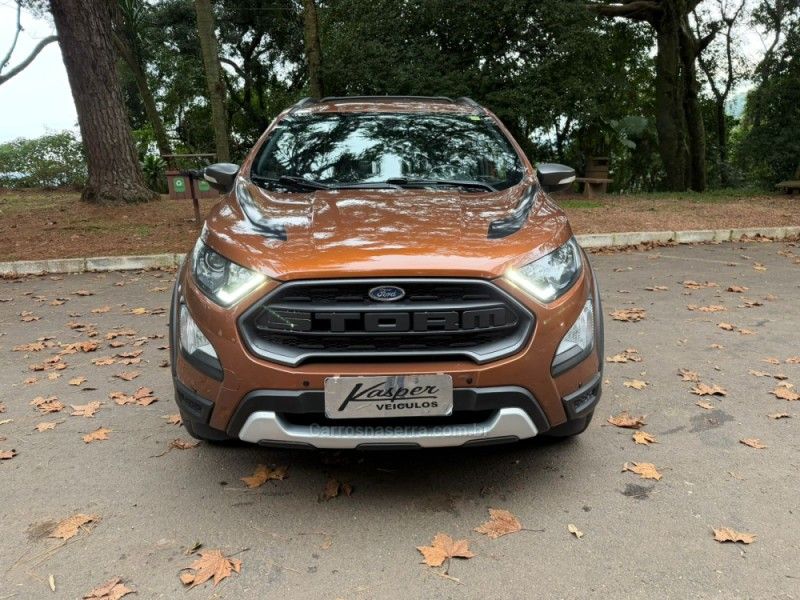 FORD ECOSPORT 2.0 STORM 4WD 16V 2018/2019 KASPER VEÍCULOS DOIS IRMÃOS / Carros no Vale